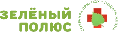 Логотип: Зелёный полюс