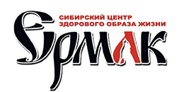 Логотип: Ермак